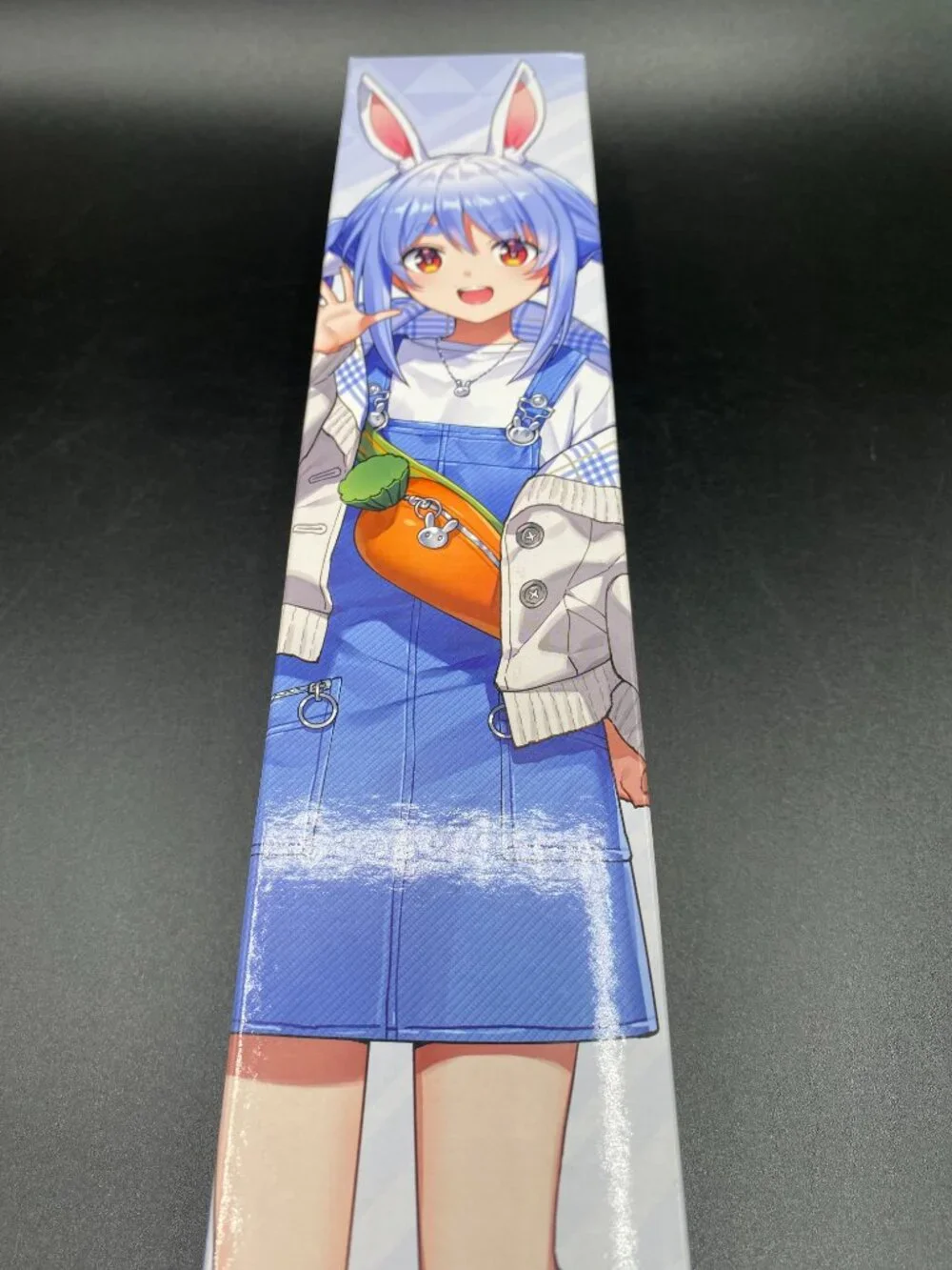 Hololive Usada Pekora Tapestry Scroll 3 (Going Out Version) Kuji Hololife New